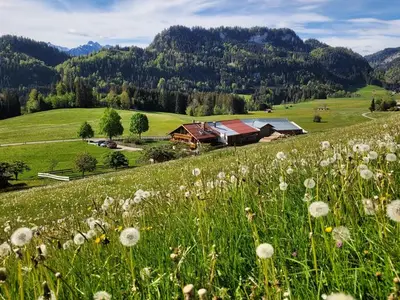 Ferienwohnung für 2 Personen (25 m²) in Fischen im Allgäu 6/10