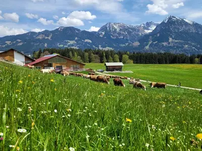 Ferienwohnung für 2 Personen (25 m²) in Fischen im Allgäu 8/10