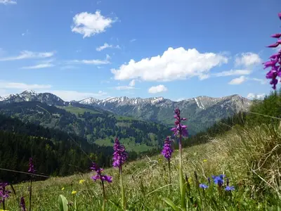 Ferienwohnung für 2 Personen (44 m²) in Fischen im Allgäu 6/10