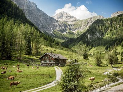 Wandern in Flachau