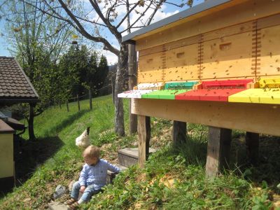 Bienenstand