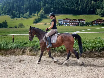 Ferienwohnung für 4 Personen (39 m²) in Flachau 8/10