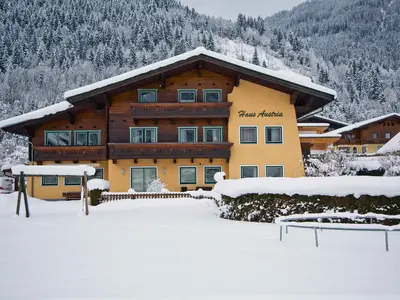 Ferienwohnung für 3 Personen (32 m²) in Flachau 2/10