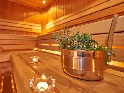 sauna-gross