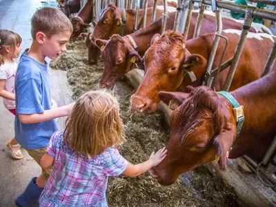 kinder-stall-bauernhof-