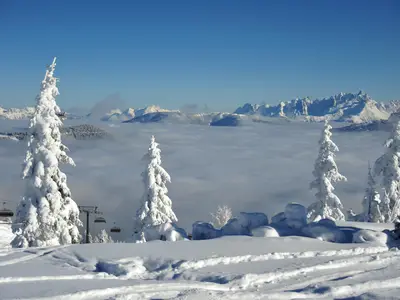 Natur pur