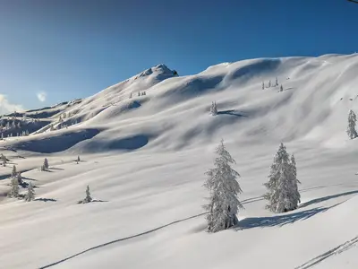 Blauer Himmel, Sonnenschein und Neuschnee