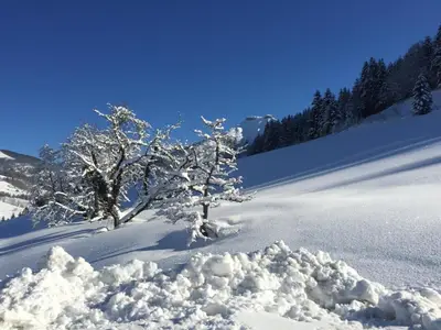 AreaWinter20KM