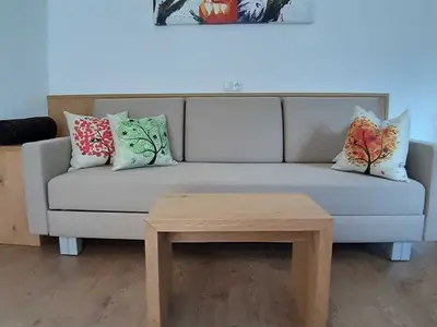 Ferienwohnung für 5 Personen (59 m²) in Flachau 9/10