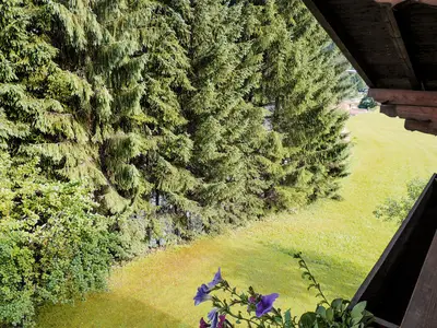 view-from-room
