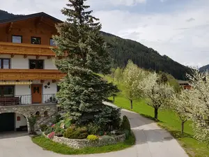 Ferienwohnung für 6 Personen (60 m²) in Flachau