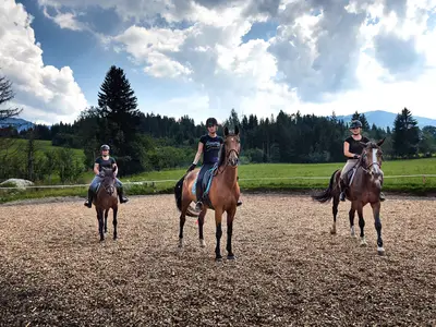 Ferienwohnung für 4 Personen (39 m²) in Flachau 7/10