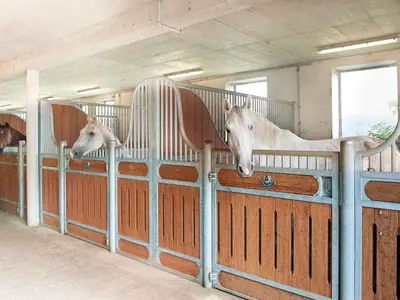 Ferienwohnung für 4 Personen (39 m²) in Flachau 10/10