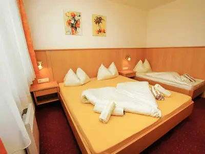 Ferienwohnung für 5 Personen (85 m²) in Flachau 3/10