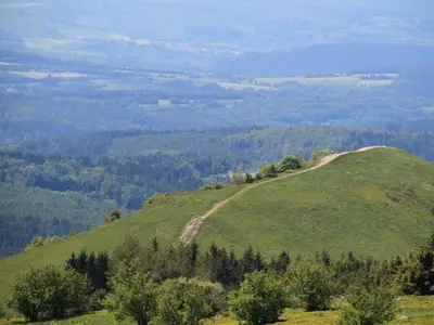 Ferienwohnung für 4 Personen (100 m²) in Fladungen 9/10
