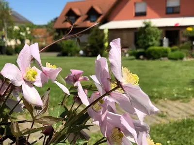 Ferienwohnung für 2 Personen in Fladungen 1/6