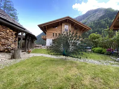 Grand Chalet Eggerfeld IMG_3324