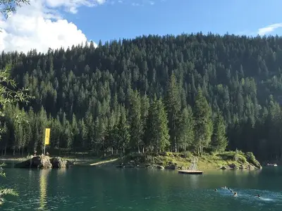 Ferienwohnung für 4 Personen in Flims 10/10