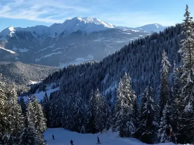 Ferienwohnung für 4 Personen in Flims 9/10