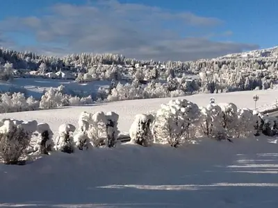 Ferienwohnung für 4 Personen in Flims 2/10