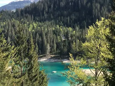 Ferienwohnung für 4 Personen in Flims 3/10