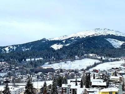 Ferienwohnung für 4 Personen in Flims 7/10
