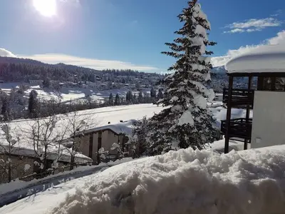 Ferienwohnung für 2 Personen in Flims 2/9