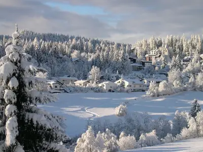 Ferienwohnung für 2 Personen in Flims 3/9