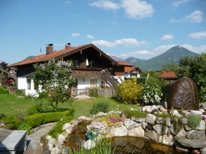 Blick auf das Haus mit Garten