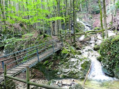 Wasserfall und Wolfsschlucht direkt vor der Haustür