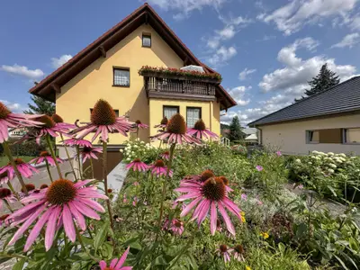 Außenseite Ferienhaus [Sommer]