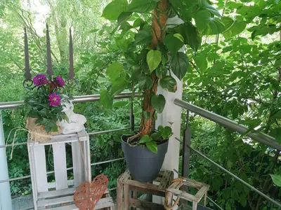 Eingangsbereich