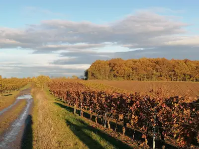 Herbststimmung