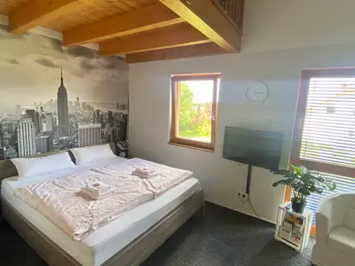 Ferienwohnung für 4 Personen (26 m²) in Flonheim 5/10