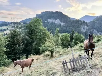 Ferienwohnung für 11 Personen (170 m²) in Flumet 4/10