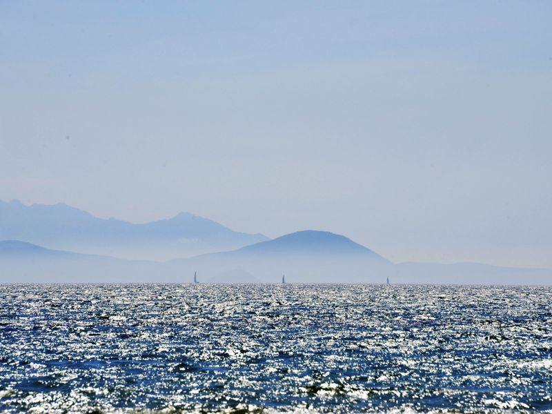 23850914-Ferienwohnung-4-Follonica-800x600-2