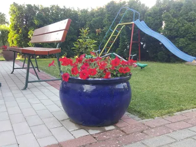 Ferienwohnung für 7 Personen (90 m²) in Fonyód 8/10