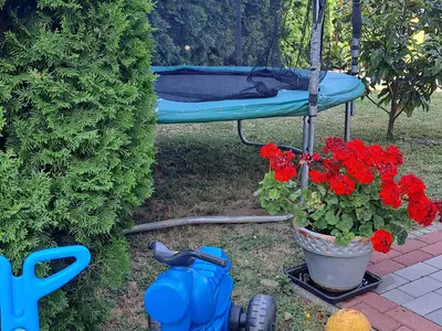 Ferienwohnung für 7 Personen (90 m²) in Fonyód 4/10