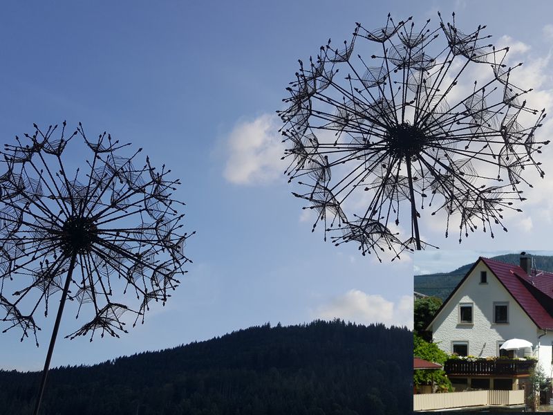 Ferienwohnung Pusteblume