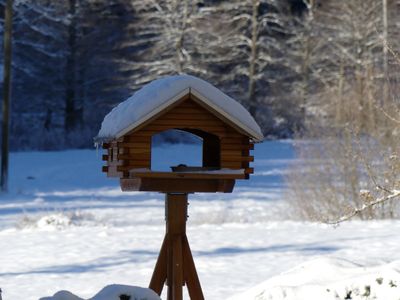 Vogelhaus im Winter