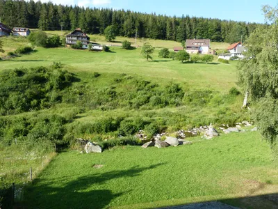 Ferienwohnung für 4 Personen (59 m²) in Forbach 3/10
