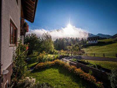 Aussicht vom Ferienhaus [Sommer]