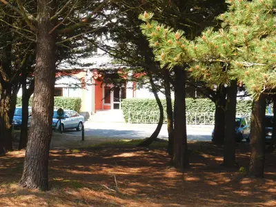 GardenSummer