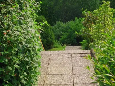 Ferienwohnung für 5 Personen (58 m²) in Frankenau 2/10