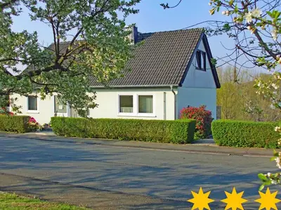 Ferienwohnung für 5 Personen (58 m²) in Frankenau 6/10