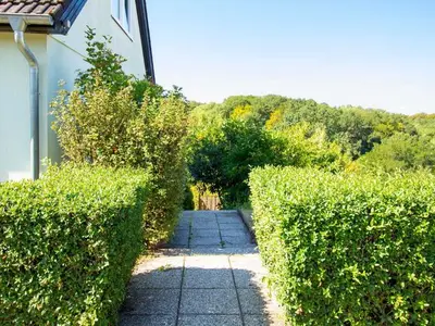 Ferienwohnung für 5 Personen (58 m²) in Frankenau 9/10
