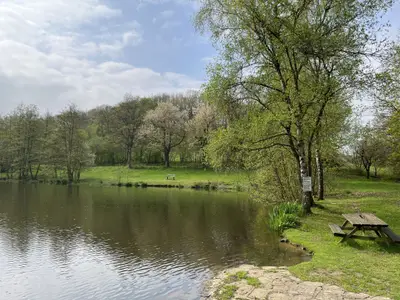 Ferienwohnung für 4 Personen (70 m²) in Frankenau 1/10