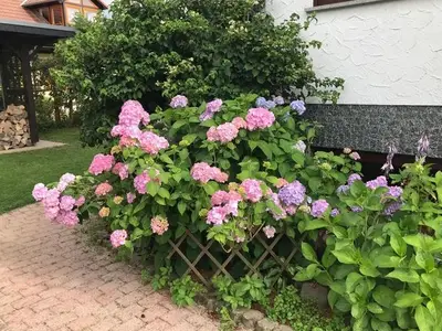 Ferienwohnung für 6 Personen (100 m²) in Frankenberg (Eder) 7/10
