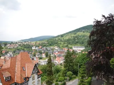 Ferienwohnung für 4 Personen (75 m²) in Frankenblick 2/10