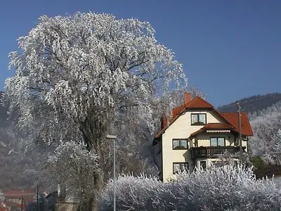 Ferienwohnung für 4 Personen (75 m²) in Frankenblick 3/10
